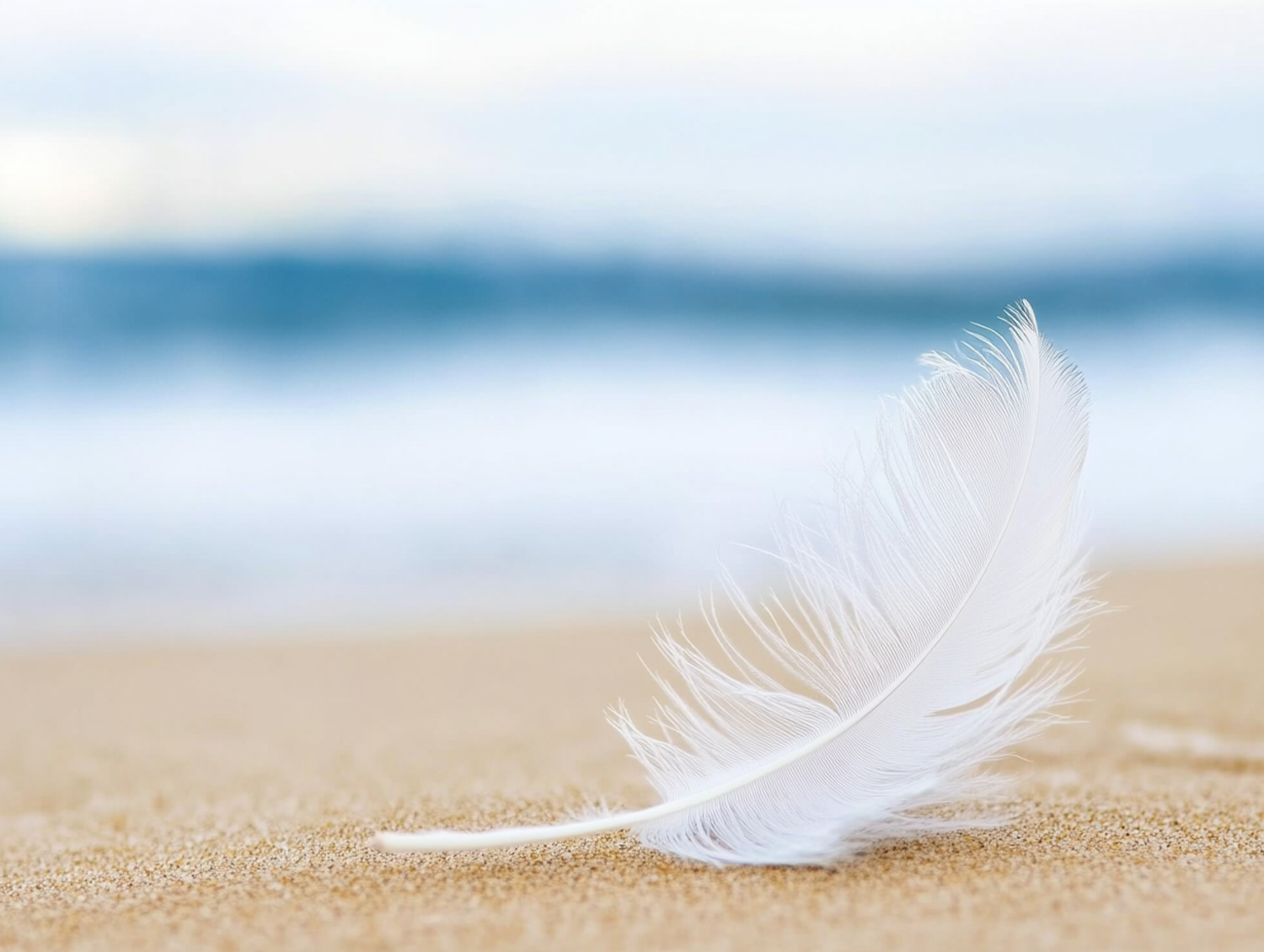 Feather on Sandy Beach