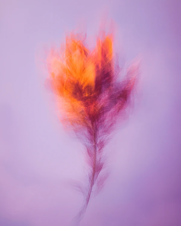 Abstract Flower Art
