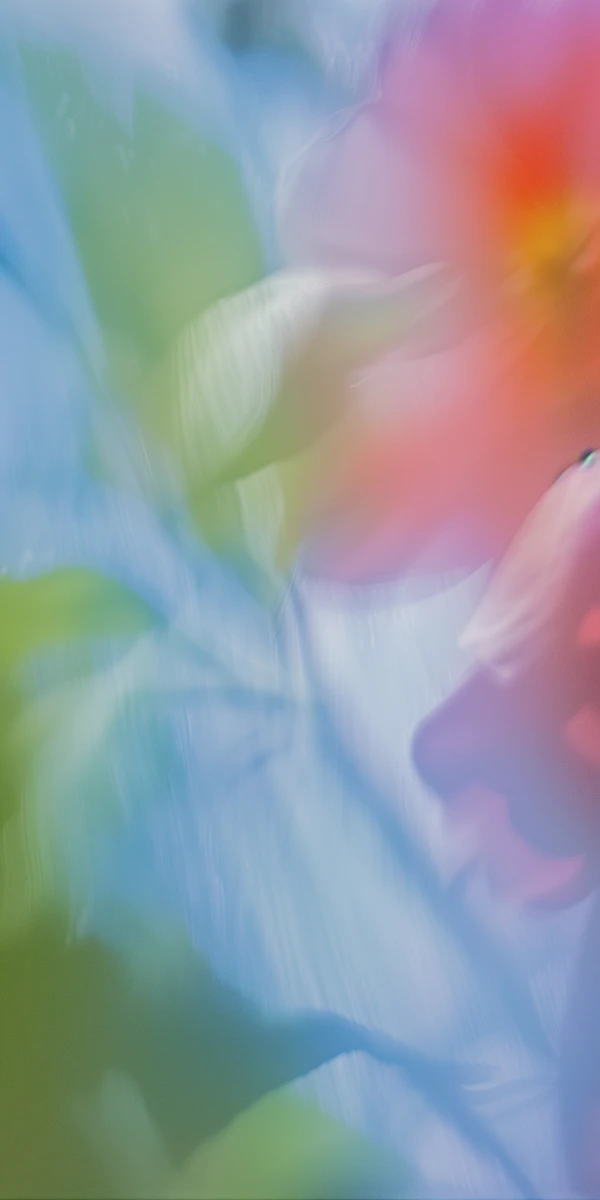 Dreamy Abstract Colors