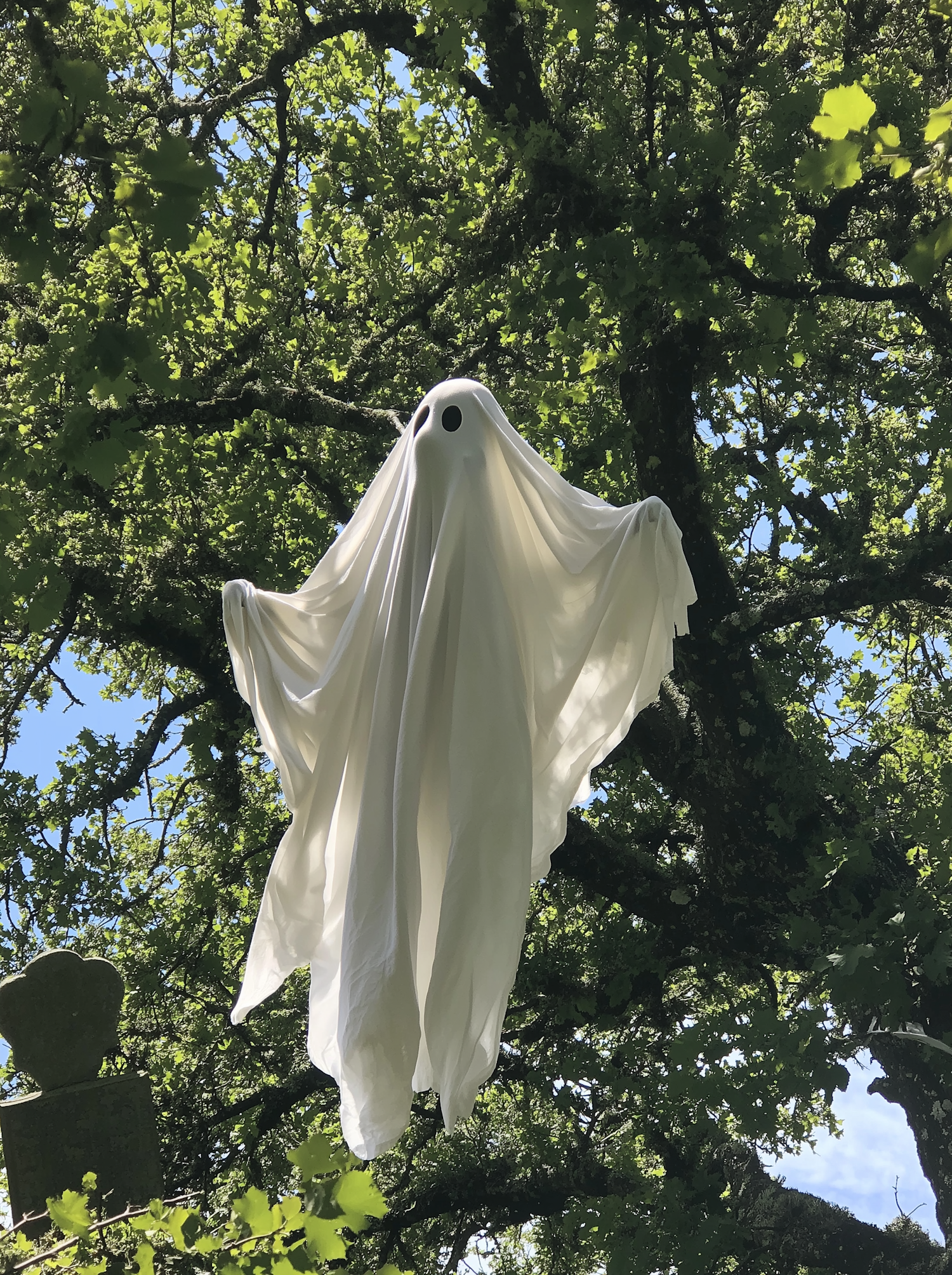 Halloween Ghost in Tree