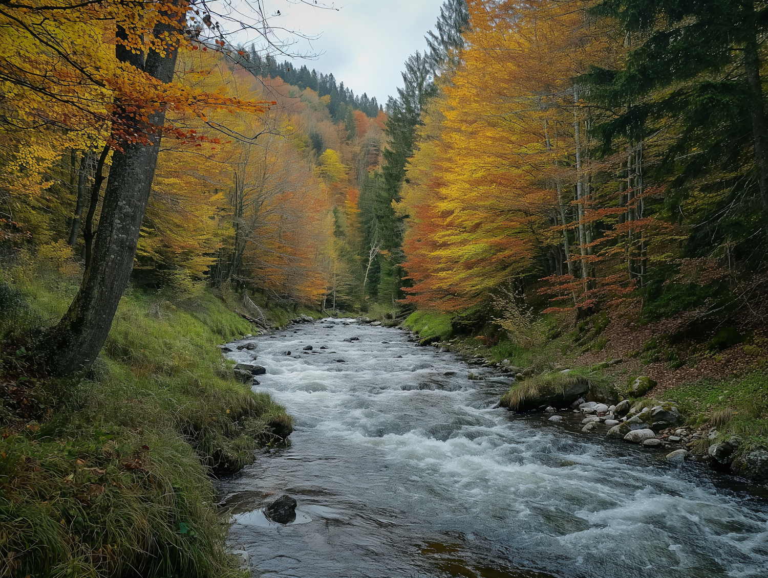 Autumn Whispering Stream