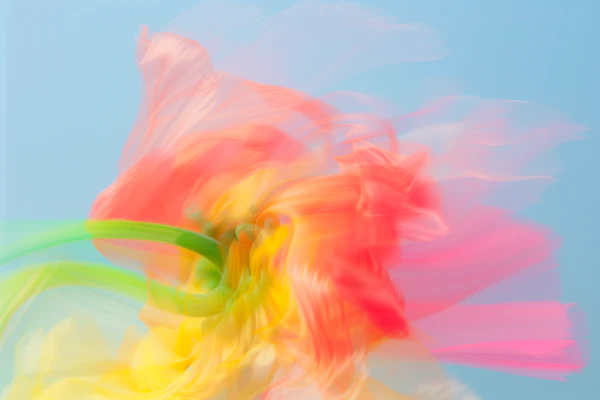 Abstract Flower Art