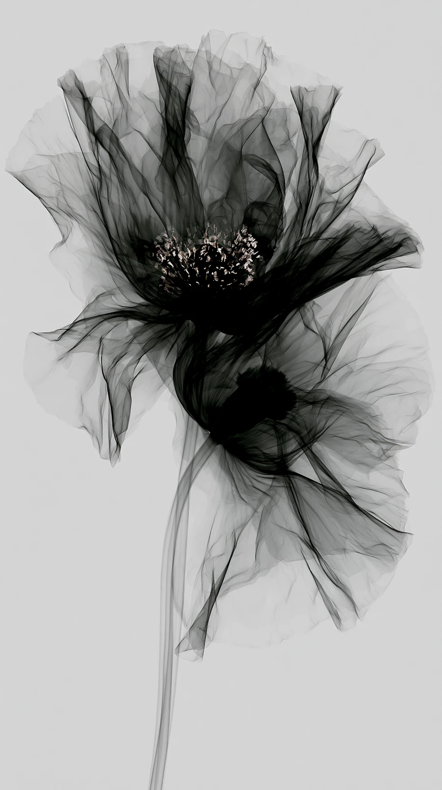 Monochrome Flower Art