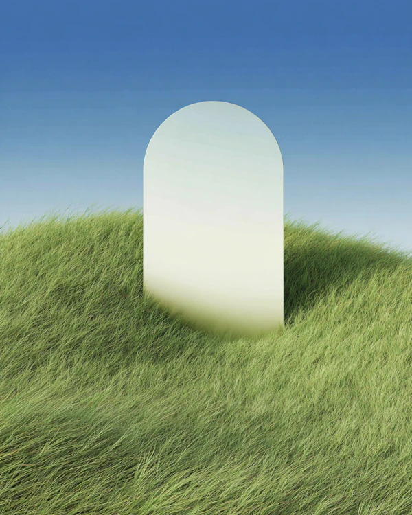 Mirror in Serene Field