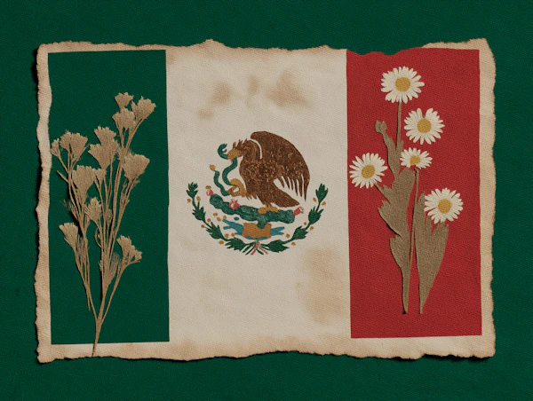 Mexican Flag Artwork