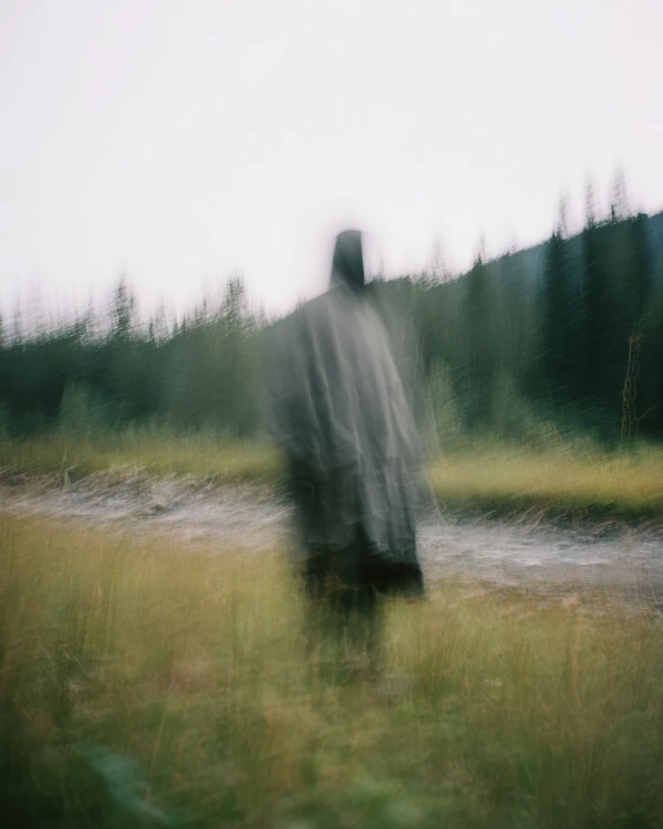 Ethereal Forest Scene