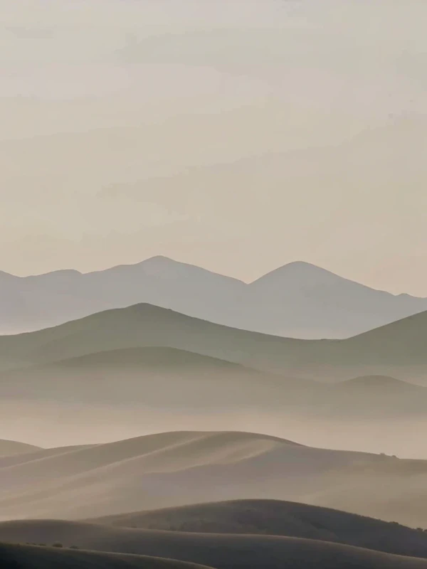 Serene Rolling Hills
