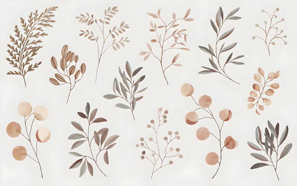 Botanical Illustrations Artwork