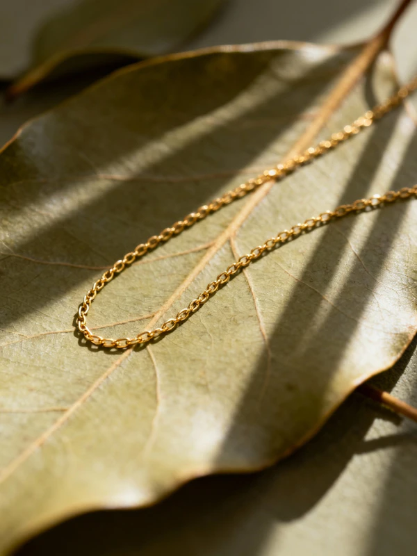 Gold Chain on Leaf