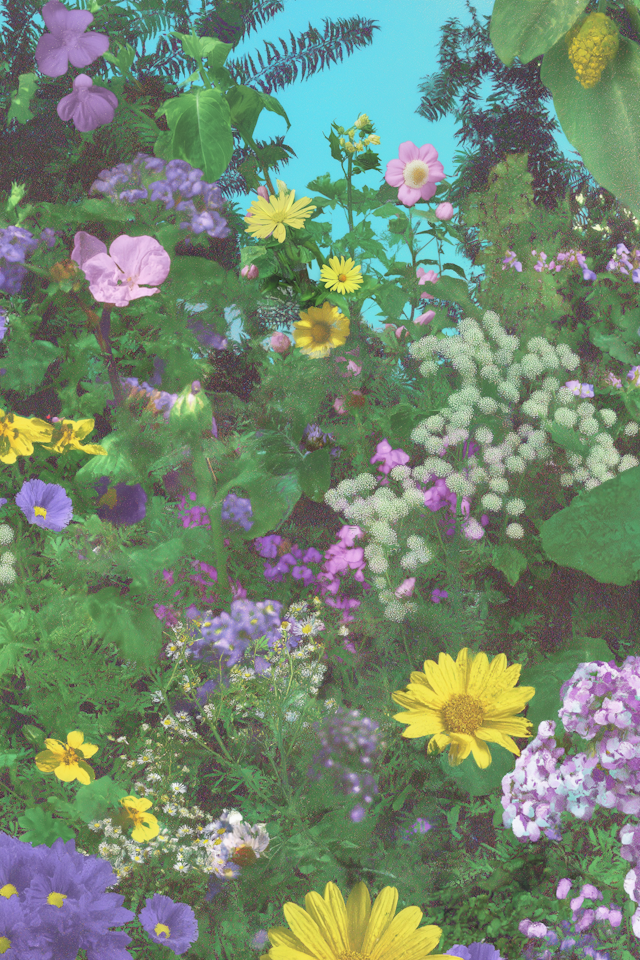 Vibrant Flower Garden