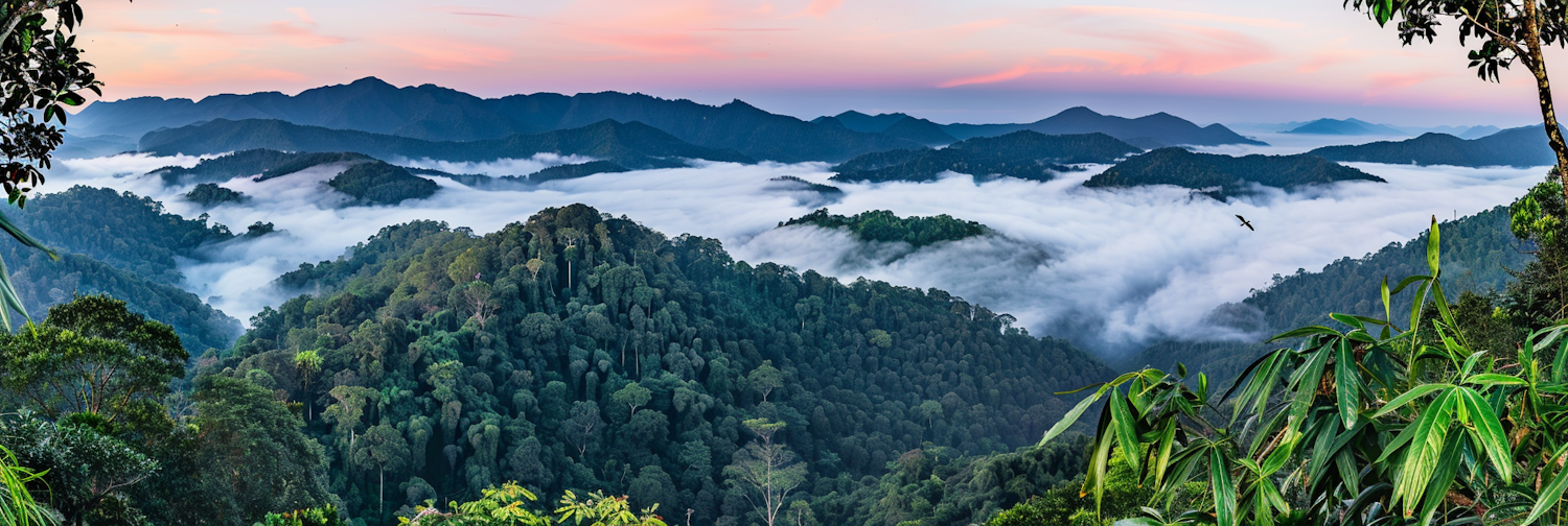 Misty Mountain Landscape