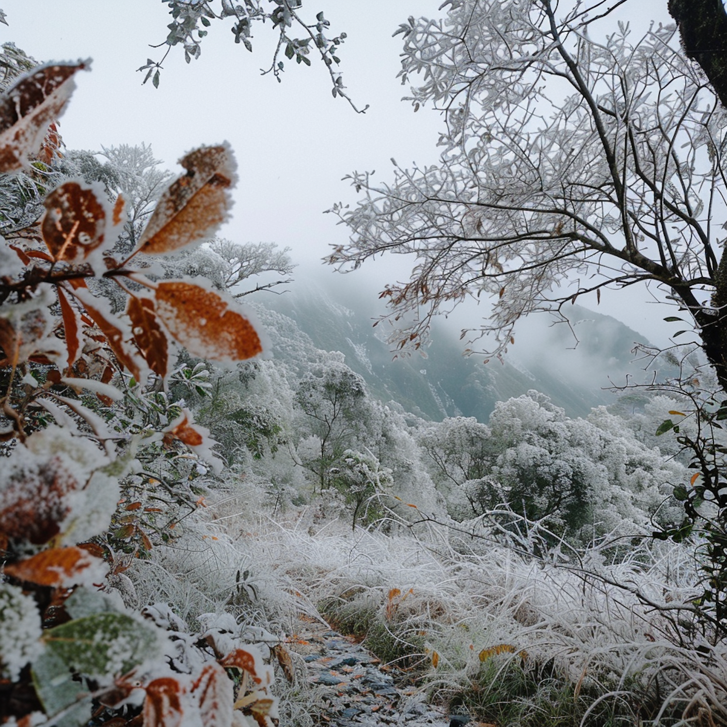 Serene Winter Landscape