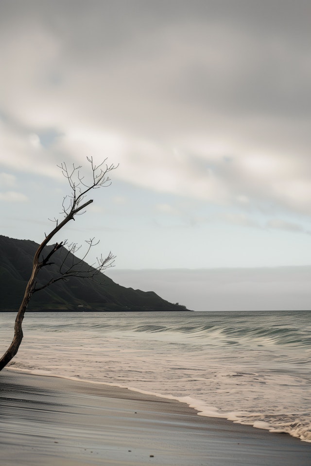 Serene Beach Landscape with Bare Tree