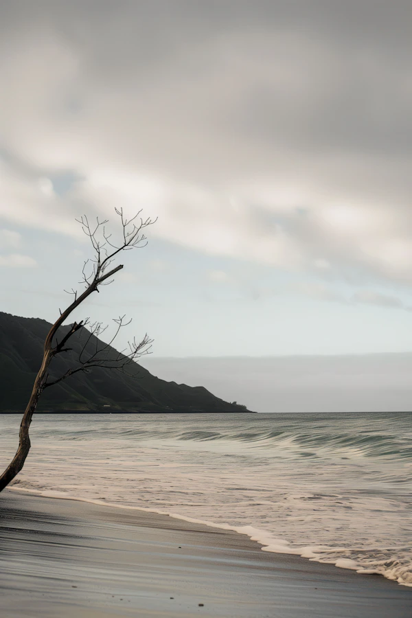 Serene Beach Landscape with Bare Tree