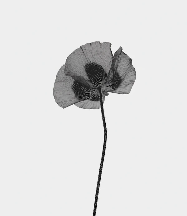 Monochromatic Flower