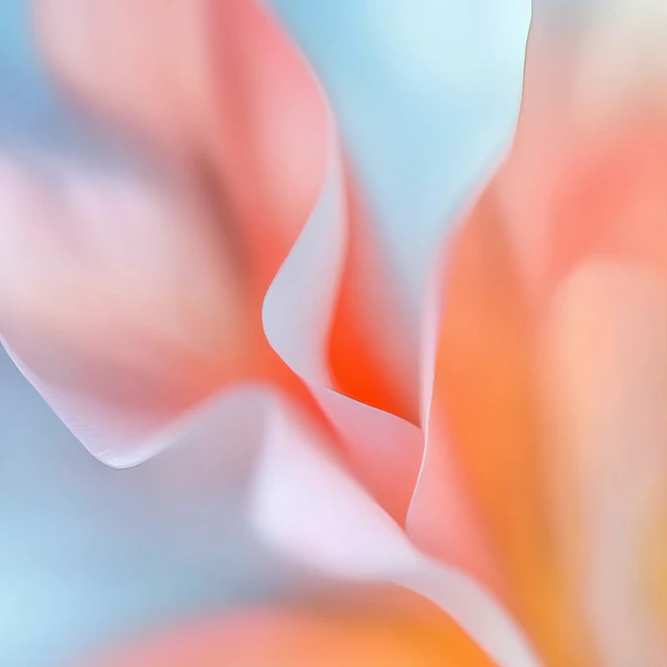 Dreamy Pastel Abstract