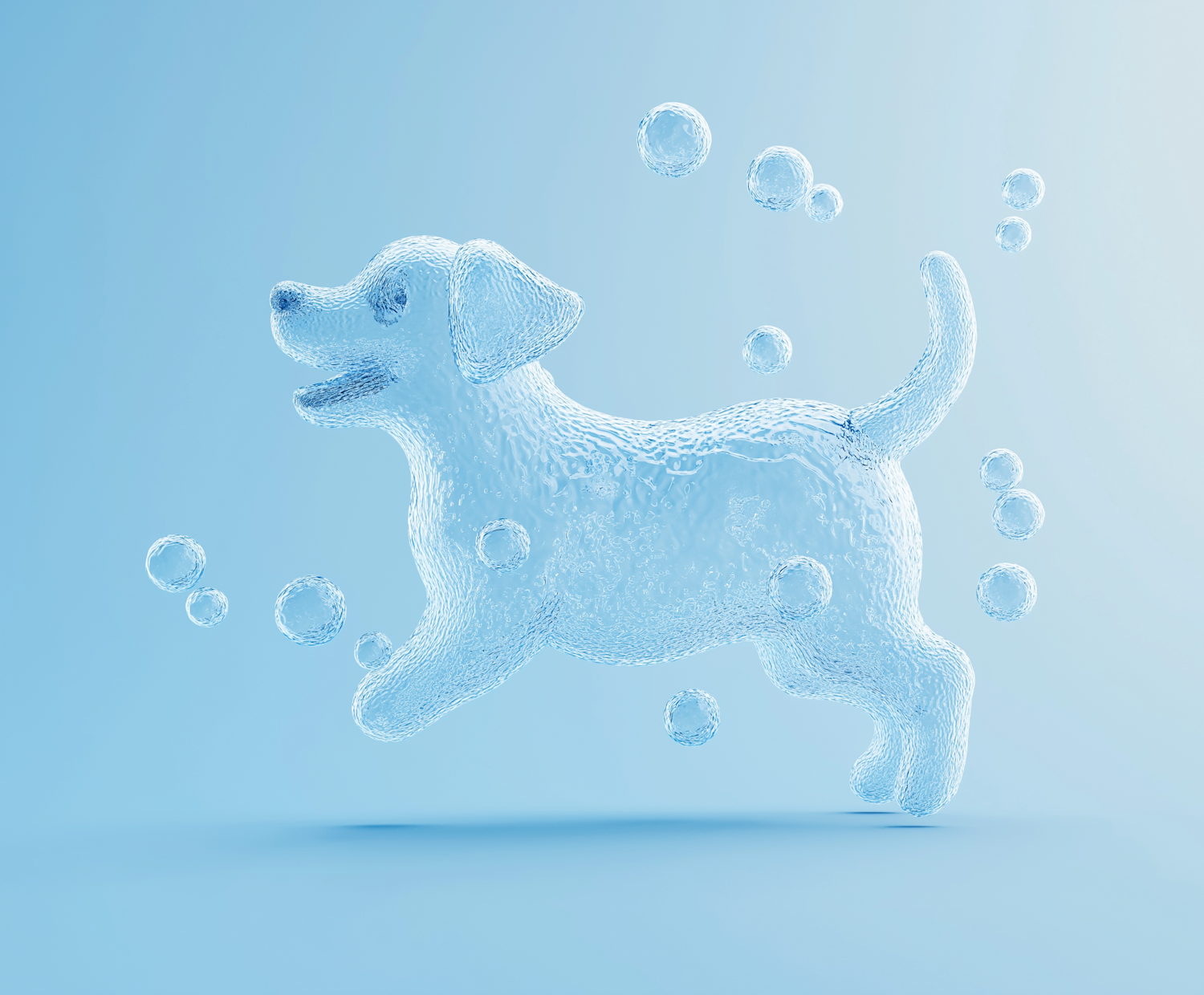 Bubble Structure Dog Art