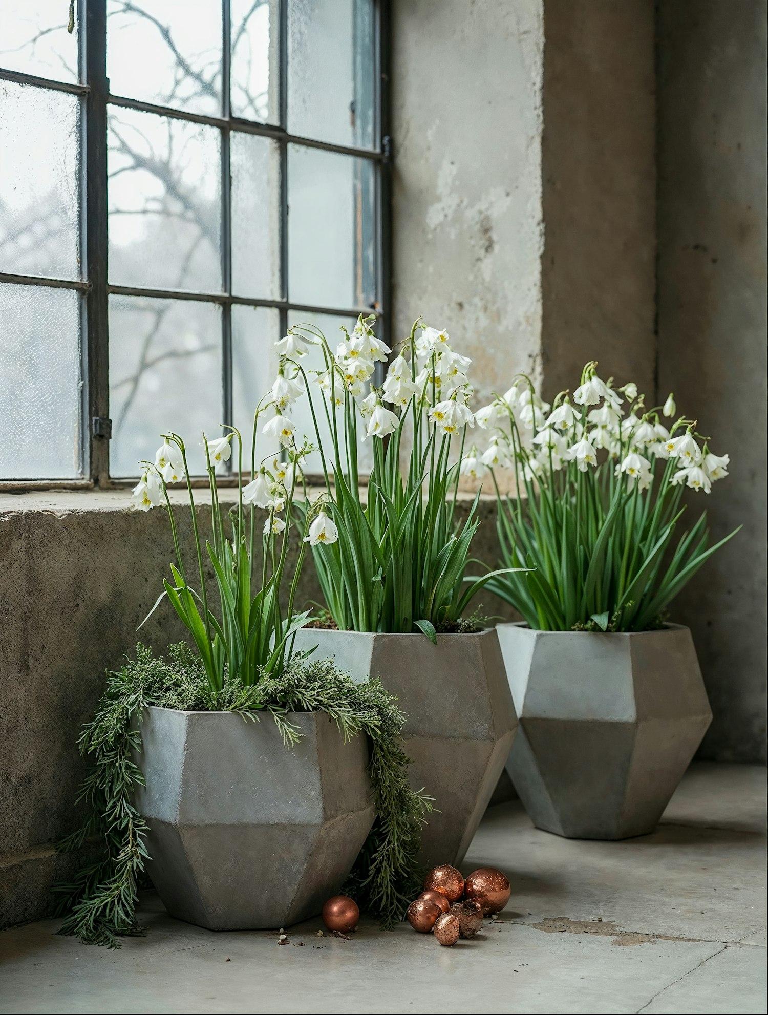 Geometric Planters with Snowdrops