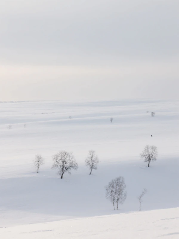 Serene Winter Landscape