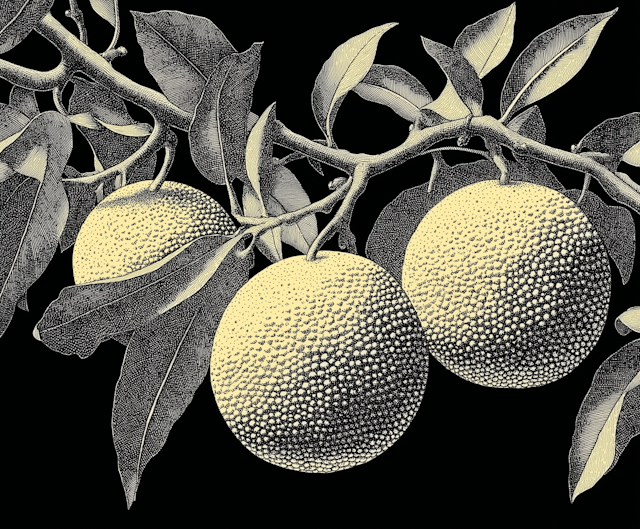 Stylized Citrus Etching