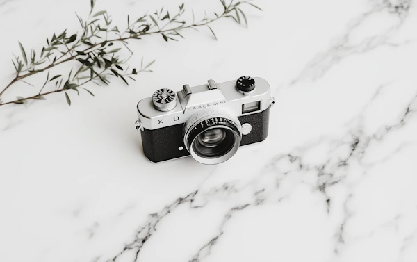 Vintage Camera Display