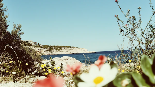 Serene Coastal Scene