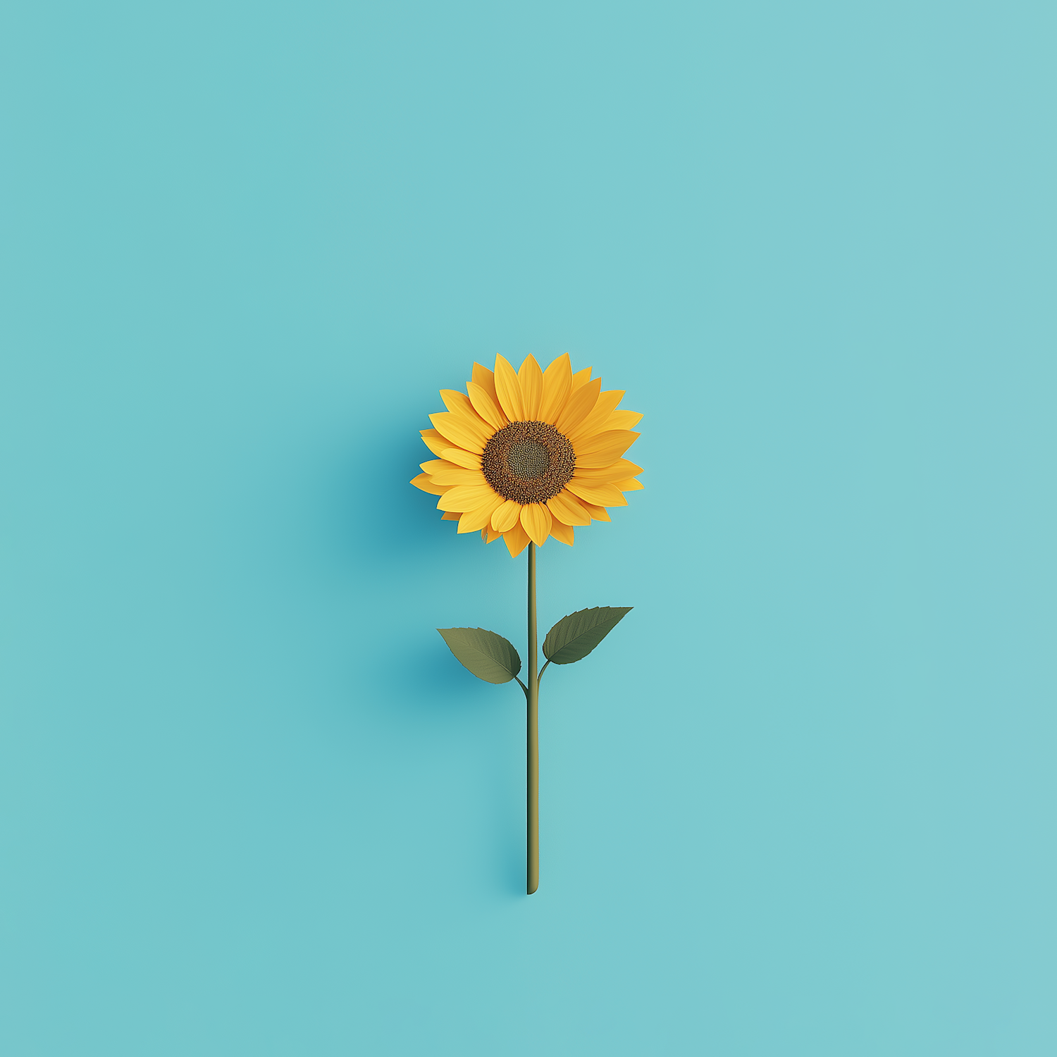 Single Sunflower Against Blue Background