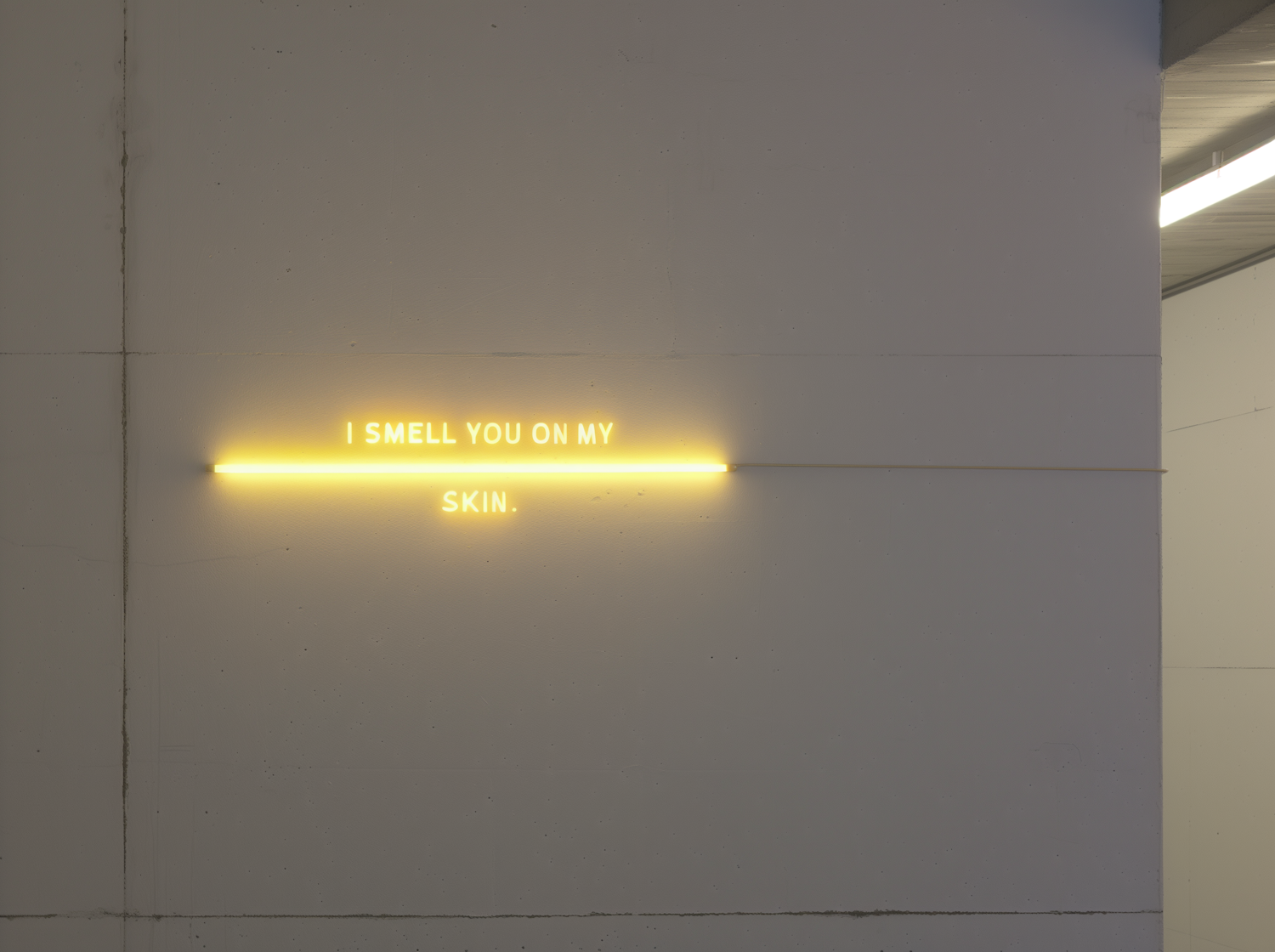 Minimalist Neon Art Installation