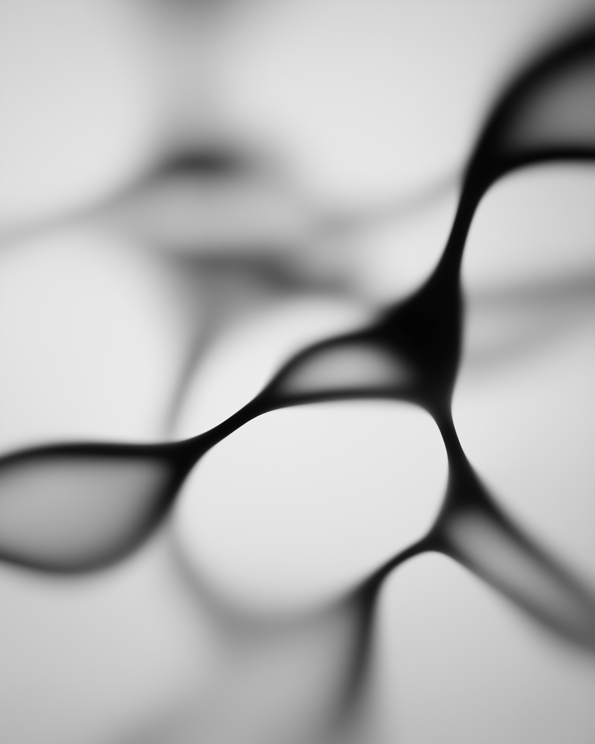 Abstract Loops Art Photo on Lummi