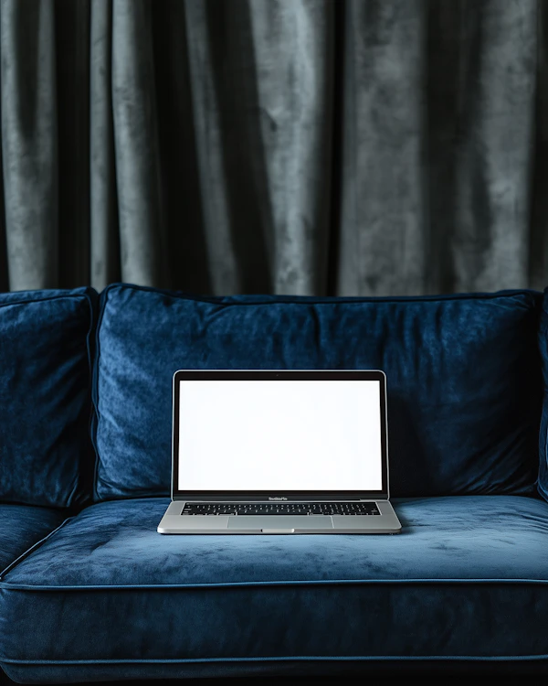 Laptop on Velvet Couch