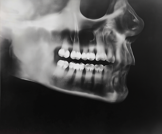 Abstract Human Skull in Monochrome