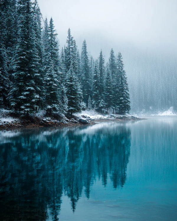 Serene Winter Lake