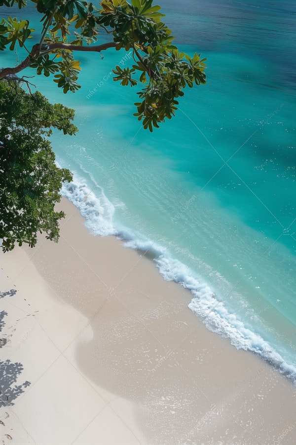 Serene Aerial Beach Scene