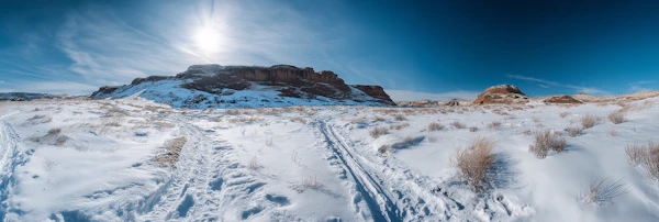 Snowy Desert Landscape