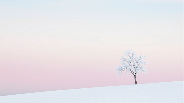 Solitary Tree on Snow-Covered Hill