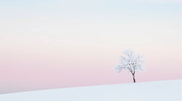 Solitary Tree on Snow-Covered Hill