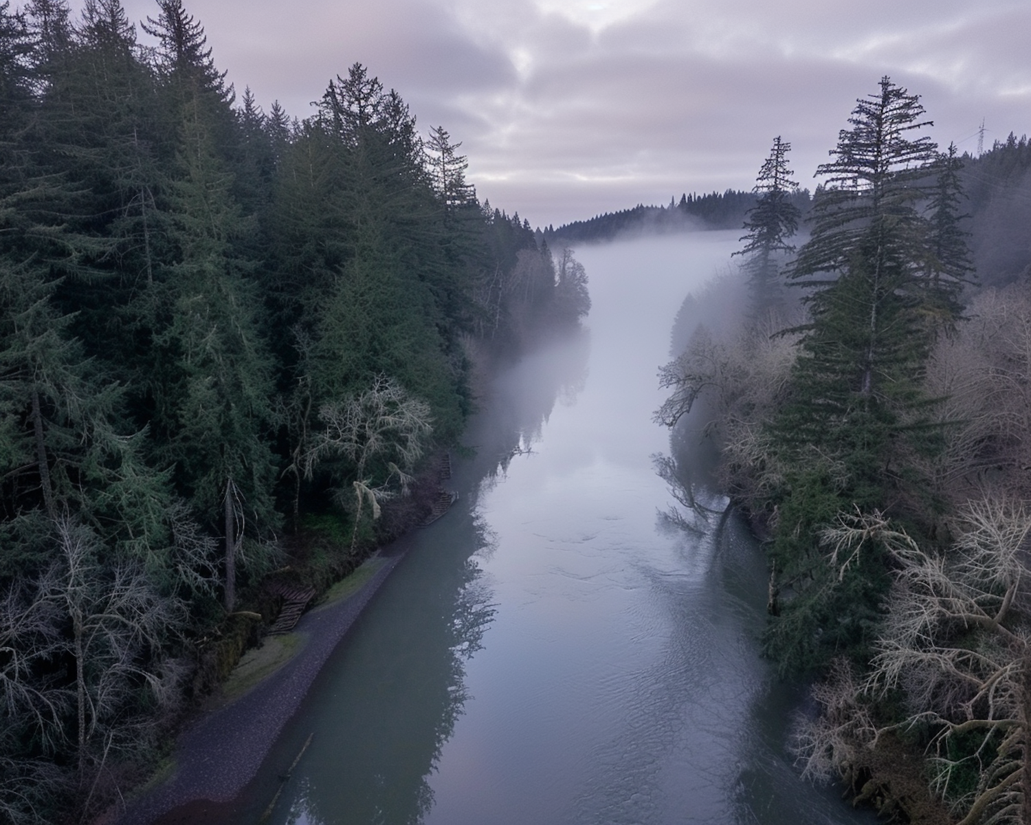 Serene River Through Forest