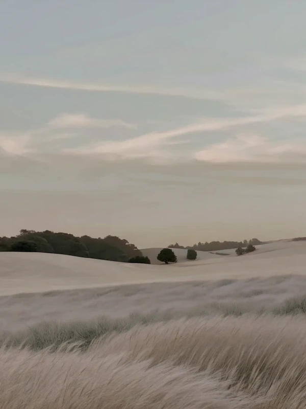 Serene Rolling Hills