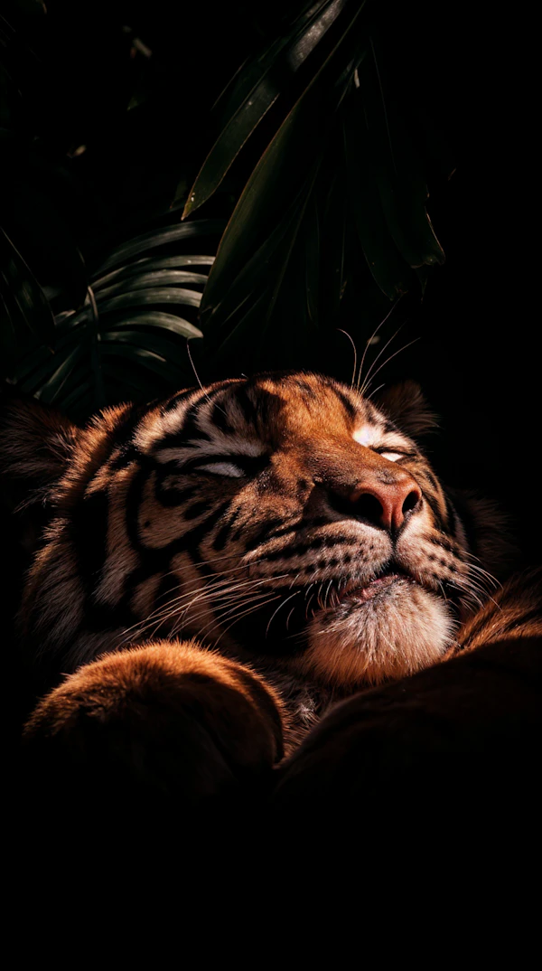 Serene Tiger Portrait