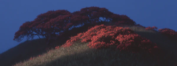 Tranquil Hillscape