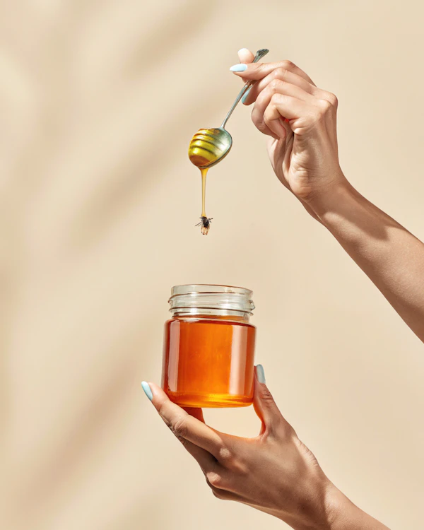 Honey and Bee Interaction