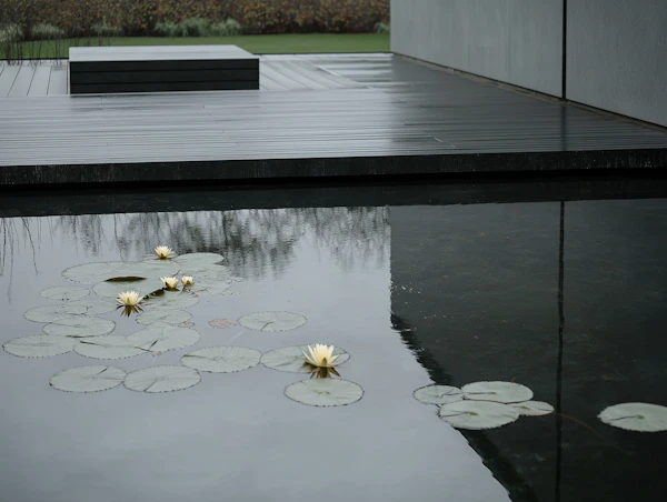 Modern Outdoor Serenity