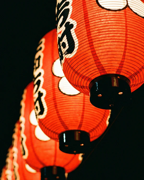 Japanese Lanterns Display