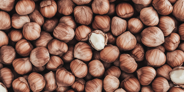 Close-up of Hazelnuts