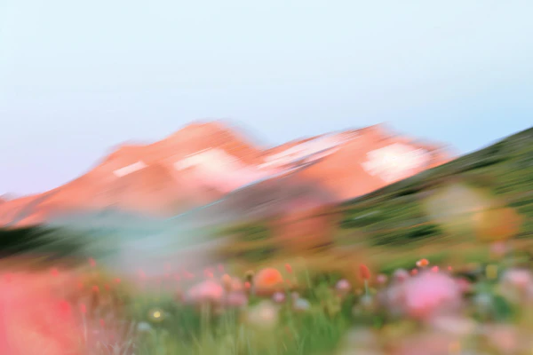 Dreamy Mountain Meadow