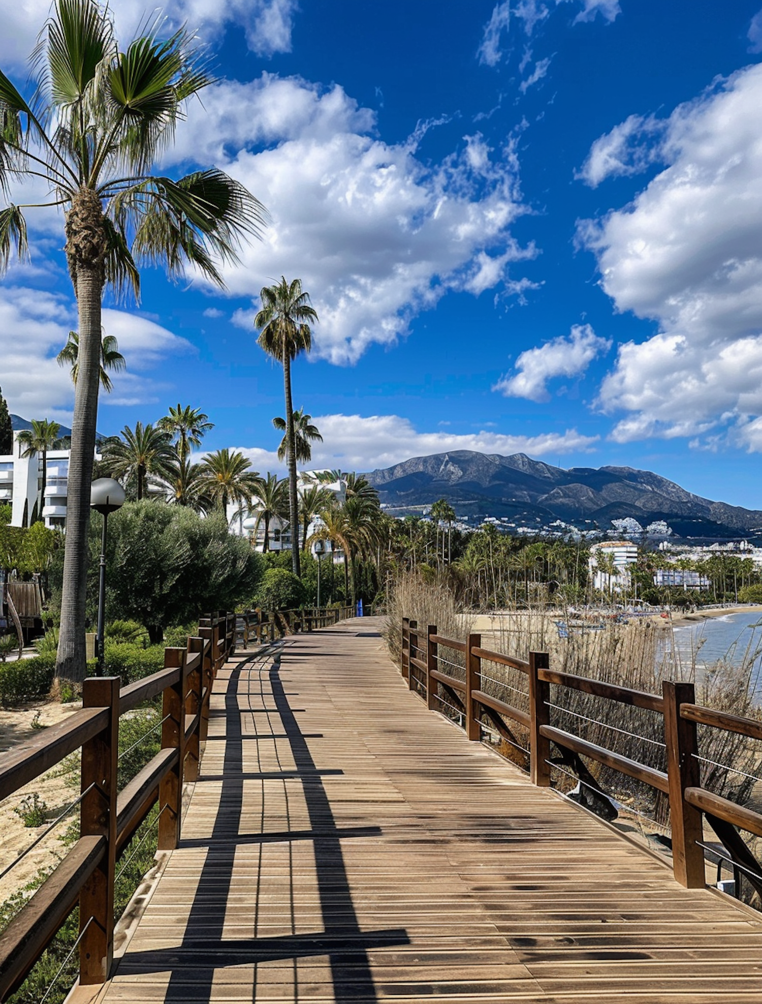 Wooden Boardwalk in Tropical Landscape