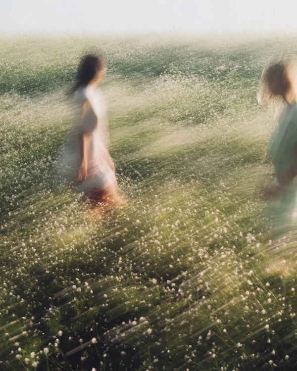 Dreamy Field Walk