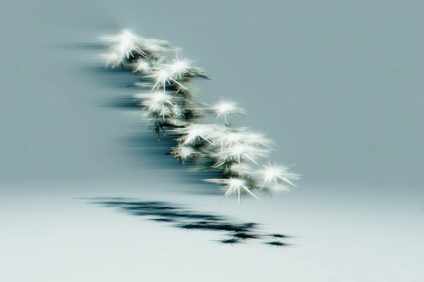 Ethereal Light Bursts
