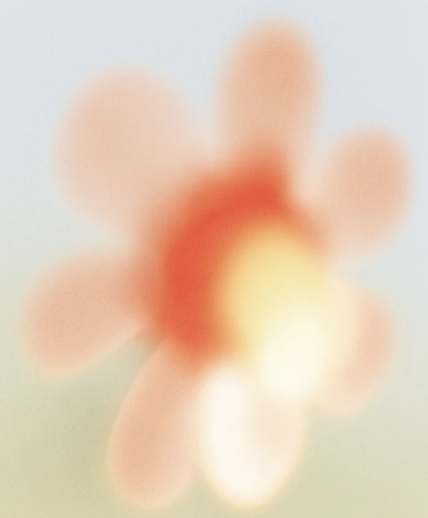 Soft Focus Flower