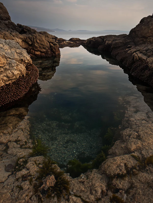 Serene Coastal Tide Pool